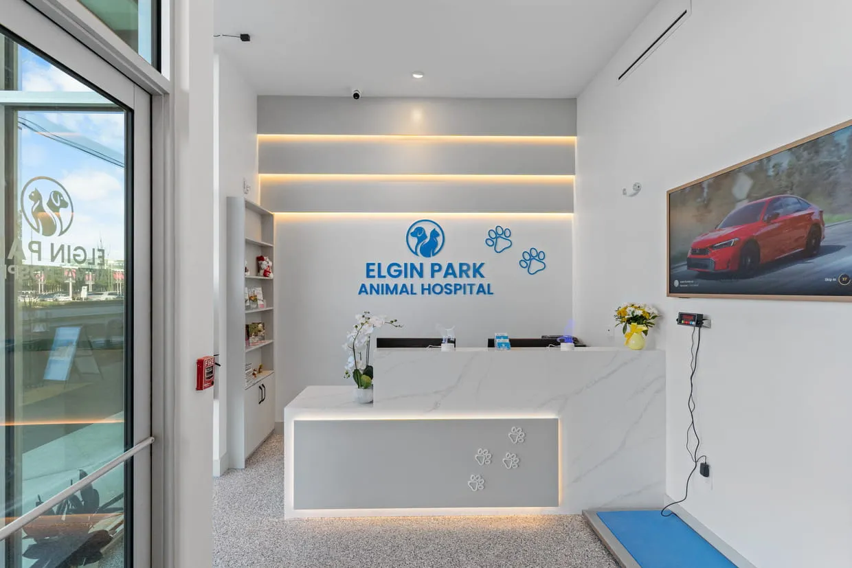 Elgin Park Animal Hospital reception area