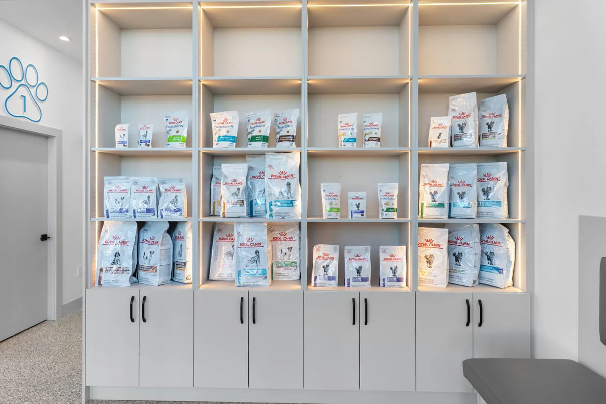 Caring veterinary team at Elgin Park Animal Hospital